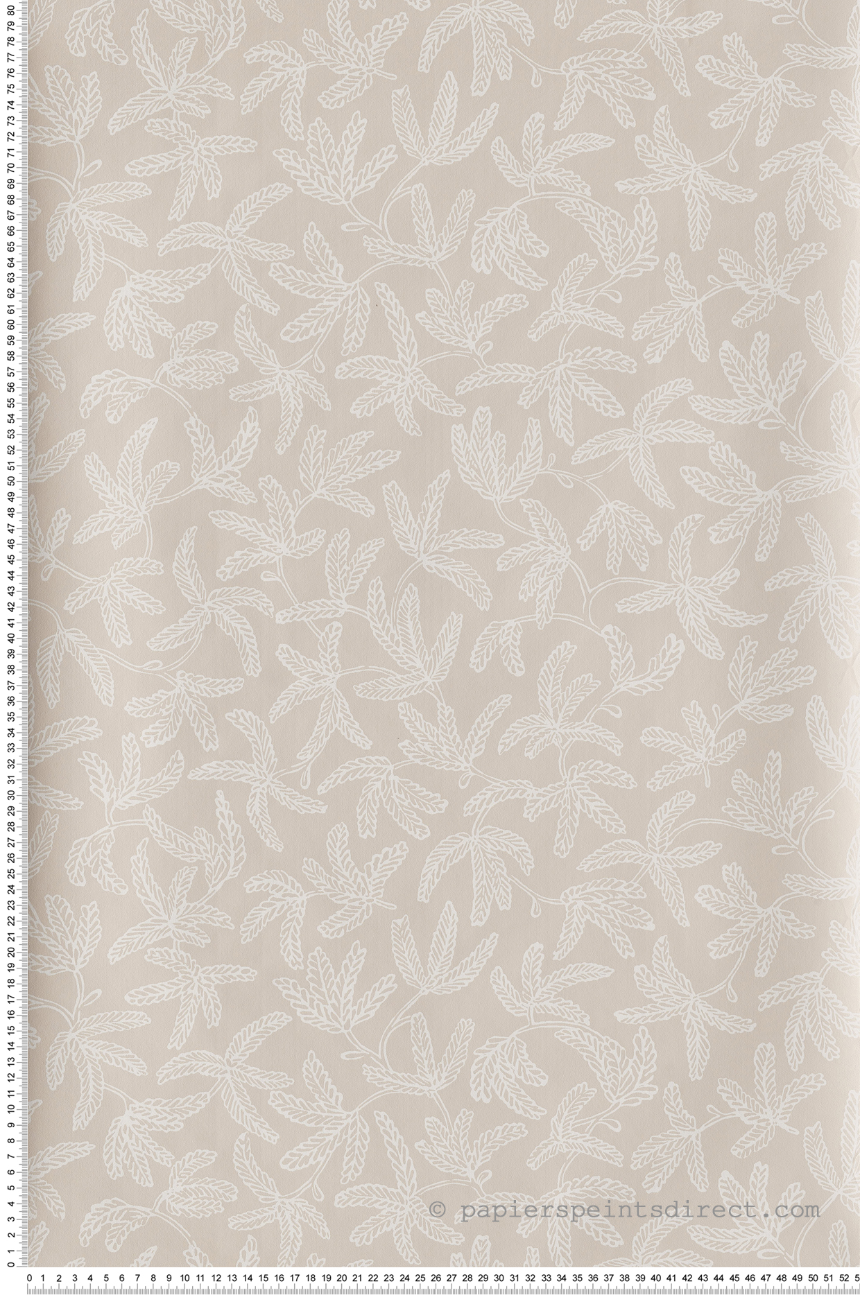 Avoir Images Papier Peint Feuillage Cocoon Beige Hygge De Caselio Hyg100571421 le plus cool salutations